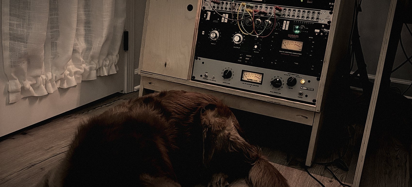 Outboard gear racked in the studio, with a golden retriever asleep on the floor